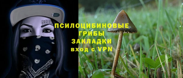 твердый Алзамай