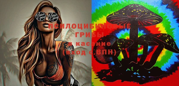 твердый Алзамай