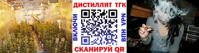 ТГК гашишное масло  блэк спрут как войти  Устюжна  наркошоп 