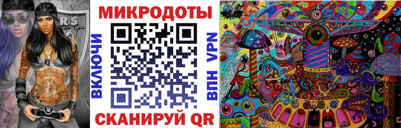 Псилоцибиновые грибы Psilocybe  Устюжна 